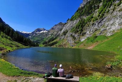 Private tour to the most breathtaking insider spots in Switzerlan Private tour to the most breathtaking insider spots in Switzerlan
