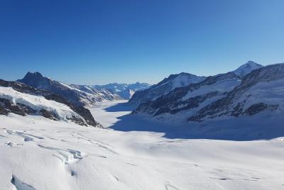 Jungfraujoch Top of Europe Private Tour from Basel