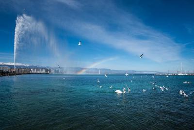 Private tour: Geneva Sightseeing & optional boat cruise Private tour: Geneva Sightseeing & optional boat cruise