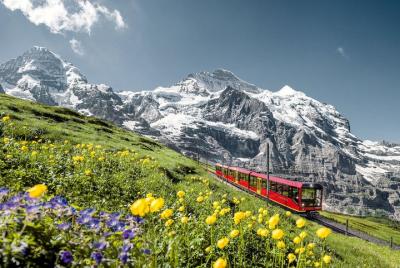 Jungfraujoch Train Trip for Swiss Travel Pass Holders