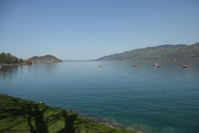 Private Lake Thun and Lake Brienz Express Tour from Interlaken Private Lake Thun and Lake Brienz Express Tour from Interlaken