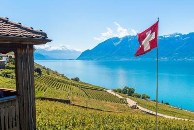 Panoramic Wine Tour From Montreux Panoramic Wine Tour From Montreux