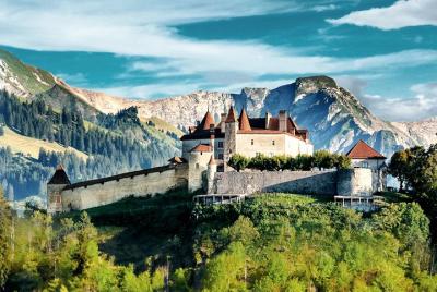 Official - Adult ticket (student rate) at Château de Gruyères Official - Adult ticket (student rate) at Château de Gruyères