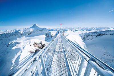 Riviera Col du Pillon & Glacier 3000: High Level Experience Swiss Riviera Col du Pillon & Glacier 3000: High Level Experience Swiss