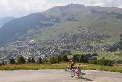 Half-Day Small-Group E-Bike Tour in Verbier Half-Day Small-Group E-Bike Tour in Verbier