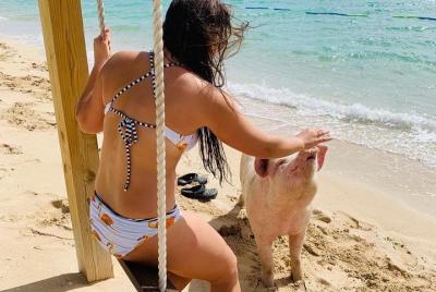 Pigs can’t fly, but they do swim! Pigs can’t fly, but they do swim!