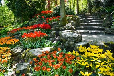 Keukenhof Gardens Guided Half-Day Tour from Amsterdam