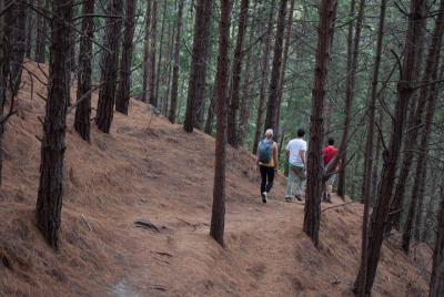 5-Hour Hike in Bogota's East Hills Including Breakfast