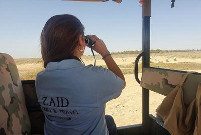 Private Tour Desert Castles Eastern Jordan with Shaumari Wildlife