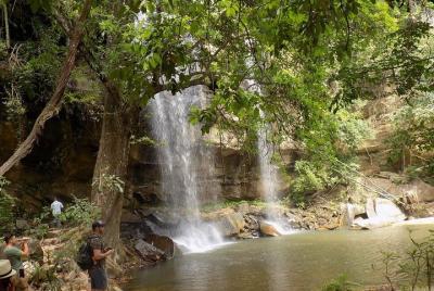 Shimba Hills 2 Days Guided Tour with Pick Up