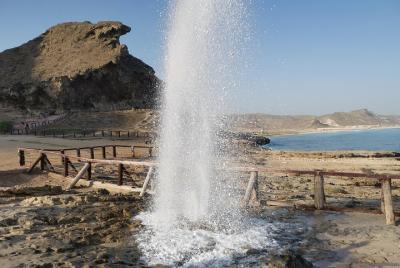 Private tour - Salalah city tour + the West coast (Mughsail beach Private tour - Salalah city tour + the West coast (Mughsail beach
