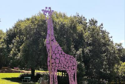 The He[ART] of Jozi.