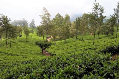 Hill Country 2 Days Private Tour