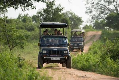 Udawalawa National Park Safari from Colombo (Budget Car with A/C)
