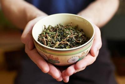 Tea of Taipei: Small-Group Tour with Taipei City Sightseeing