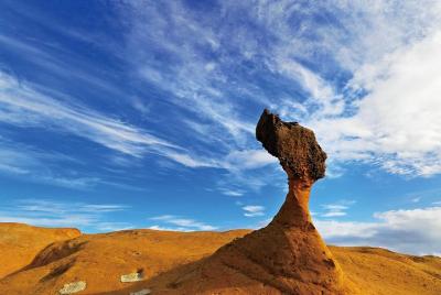 Northern Coast Half-Day Tour including Yehliu Park from Taipei Northern Coast Half-Day Tour including Yehliu Park from Taipei