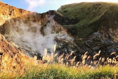 Yangmingshan National Park and Hot-Spring Half-Day Tour from Taip Yangmingshan National Park and Hot-Spring Half-Day Tour from Taip