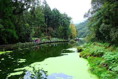 Kameyama to the island of Lin Meifu Mountain Fendo fine smoke (25