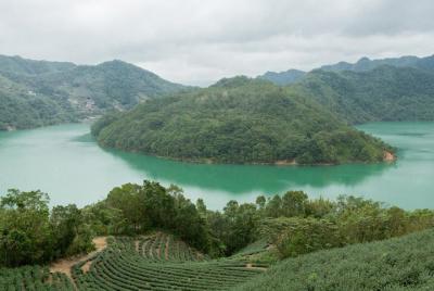5-Hour Thousand Island Lake and Pinglin Tea Plantation Scenery To 5-Hour Thousand Island Lake and Pinglin Tea Plantation Scenery To