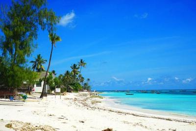 Nungwi Turtles and Cruise Excursion - Zanzibar 