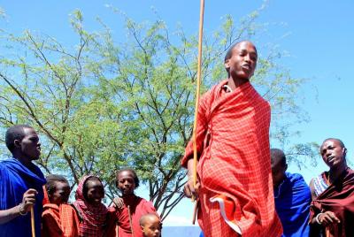 Meserani Snake Park Arusha
