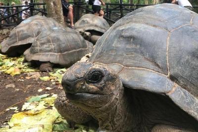 Super Zanzi (3-IN-1): Prison, Vanishing Island & Stone Town - Zan Super Zanzi (3-IN-1): Prison, Vanishing Island & Stone Town - Zan