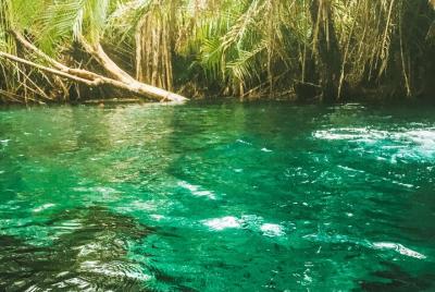 Private Full-Day Materuni Waterfalls and Kikuletwa Hotspring Private Full-Day Materuni Waterfalls and Kikuletwa Hotspring