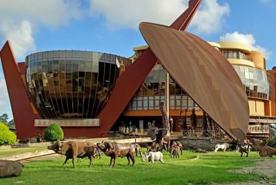 Arusha African Shopping Tour