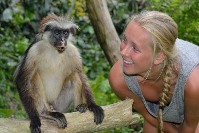 Private Tour to Jozani Forest Reserve Half-Day Guided Tour from Z Private Tour to Jozani Forest Reserve Half-Day Guided Tour from Z