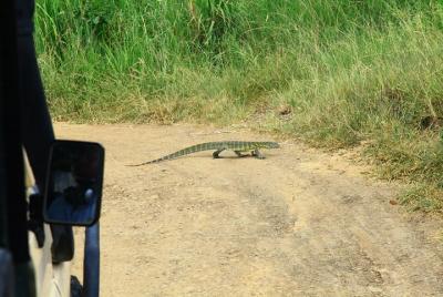 Saadani Unforgettable 