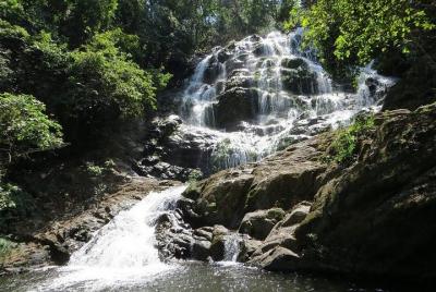 UDZUNGWA NATIONAL PARK AND WATERFALLS - 3 Days 