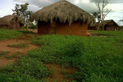 Dar es Salaam City Walking tour - Explore the Life of the Local P Dar es Salaam City Walking tour - Explore the Life of the Local P