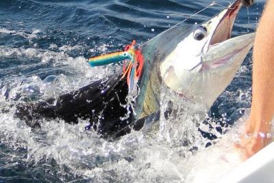 Private Half-Day Deep Sea Fishing Experience in Zanzibar Private Half-Day Deep Sea Fishing Experience in Zanzibar