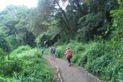 Full Day Hike At Rau Forest Reserve, Near Moshi Full Day Hike At Rau Forest Reserve, Near Moshi