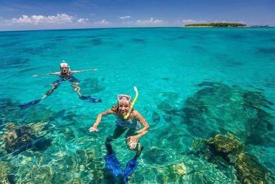 Dolphins, Snorkeling and Sandbank at Mnemba Island reef Dolphins, Snorkeling and Sandbank at Mnemba Island reef