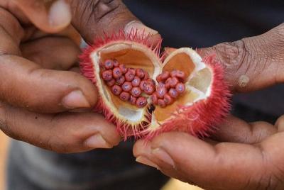 Taste and Smell the Spices of Zanzibar on Our Special Spice Tour.