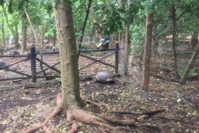 Prison Island Shared tour Prison Island Shared tour