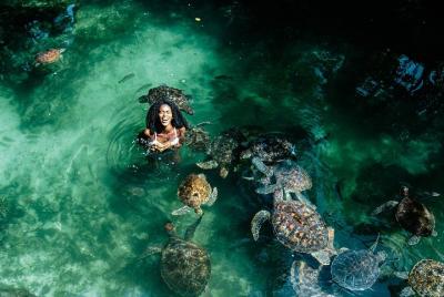 Swimming with turtles Zanzibar