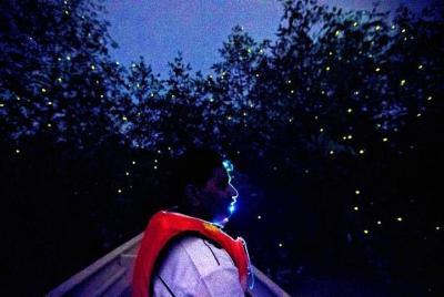 Kuala Selangor Firefly Boat Tour with Dinner and Transfer from Ku Kuala Selangor Firefly Boat Tour with Dinner and Transfer from Ku
