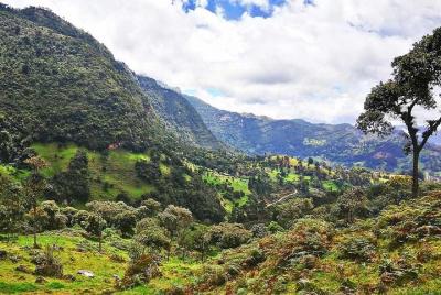 La Chorrera waterfall & Paramo from Bogota Private Tour ALL INCLU La Chorrera waterfall & Paramo from Bogota Private Tour ALL INCLU