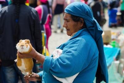 Otavalo`s Indigenous Market Full Day