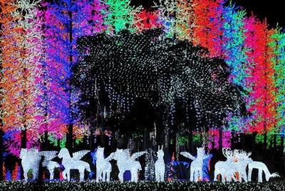 I-City & Shah Alam Tour