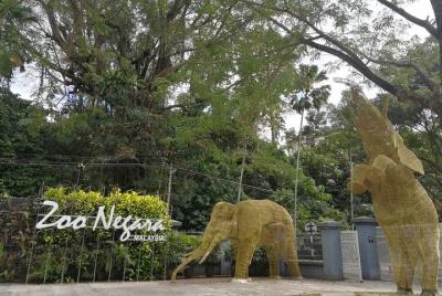 National Zoo Ticket and Transfer (SIC-Shared Transfer) National Zoo Ticket and Transfer (SIC-Shared Transfer)