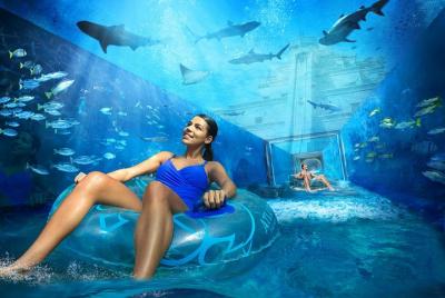 Atlantis Aquaventure and Lost Chambers As per option selected 