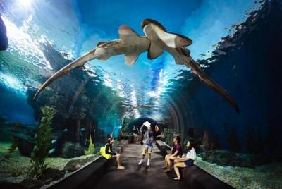 SEA LIFE Ocean World in Bangkok Admission Ticket