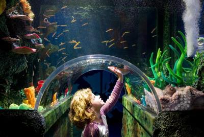 TOURIST DISCOUNT Tickets for SEALIFE (Siam Paragon)