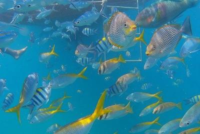 Package tour 4 days 3 nights Koh Chang (Chang Island)  Package tour 4 days 3 nights Koh Chang (Chang Island)