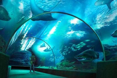 SEA LIFE Bangkok Ocean World & Madame Tussauds Combo Ticket