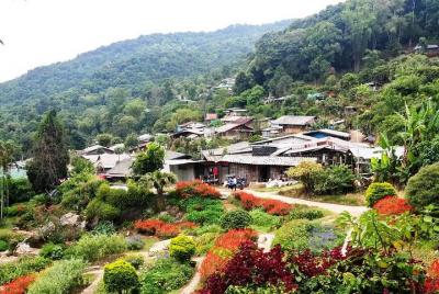 Join tour Half Day Doi Suthep & Hmong Hill Tribe Village from Chi Join tour Half Day Doi Suthep & Hmong Hill Tribe Village from Chi