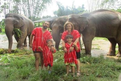 Elephant Care at Bamboo Elephant Family Care from Chiang Mai Elephant Care at Bamboo Elephant Family Care from Chiang Mai